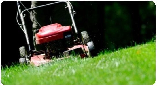 Kertápolás kategória